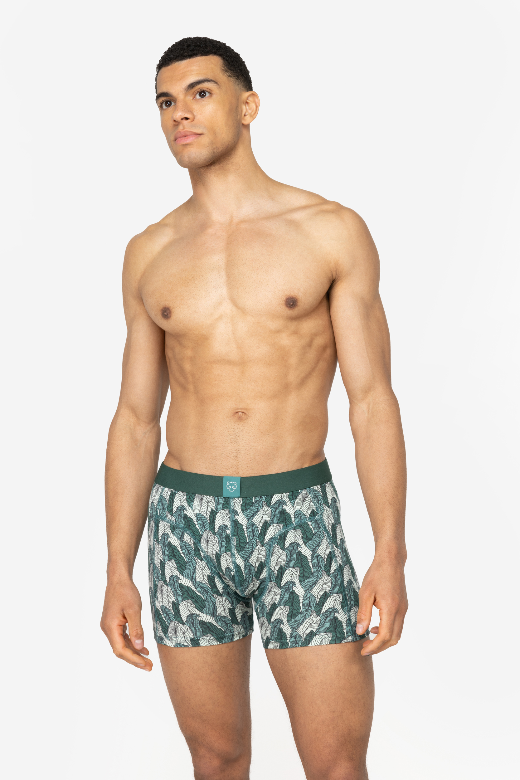 BOXER BRIEFS PALM LEAVES