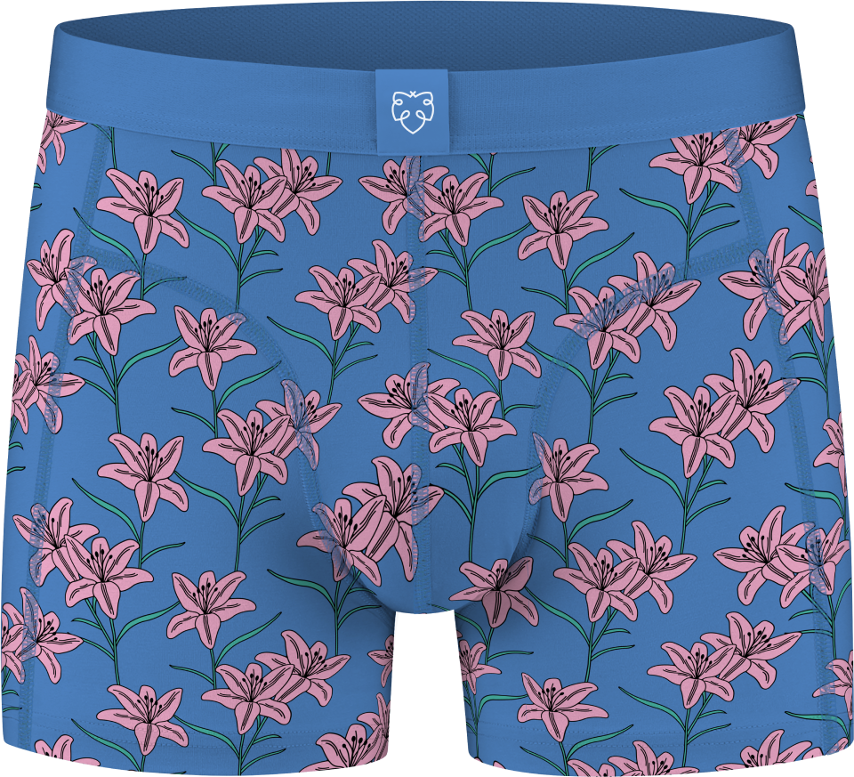 BOXER BRIEFS PINK FLOWERS