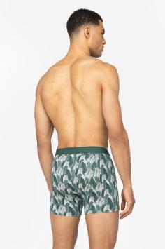 BOXER BRIEFS PALM LEAVES