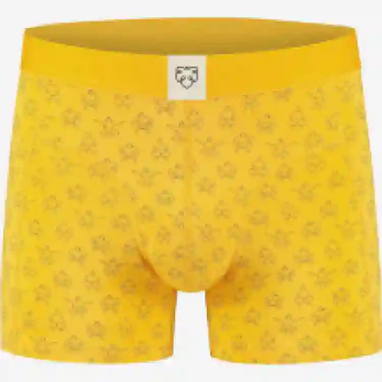 Boxer Briefs Tinus